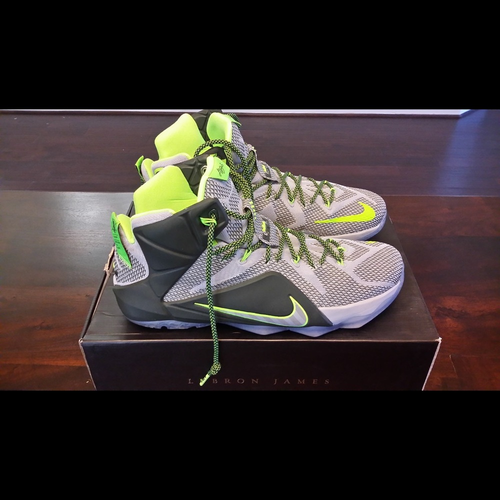 Nike Lebron James 12 size 14